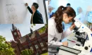 Study In The US Burs Seçenekleri Nelerdir?