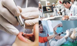 Diş Doktorluğu Okumak: Zorlu Ama Prestijli Bir Yolculuk