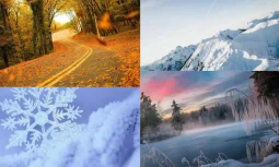 Kışın Doğadaki Değişim