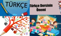 4. Sınıf Türkçe Ders Kitabı Cevapları: Kompozisyon ve Yazma Etkinlikleri