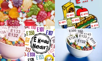 E-104 Katkı Maddesi Nedir? 