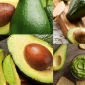 Avokadonun Sağlık İçin Faydaları