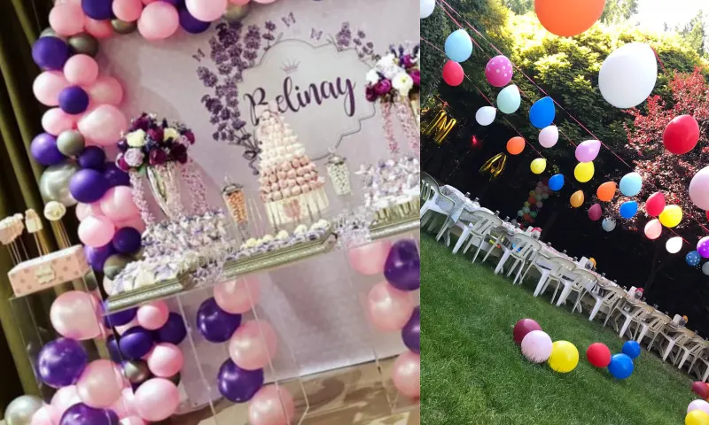 partimalzemeleeri-2-li-1